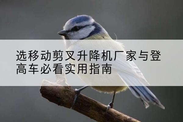 爱民电动升降机厂家-选移动剪叉升降机厂家与登高车必看实用指南