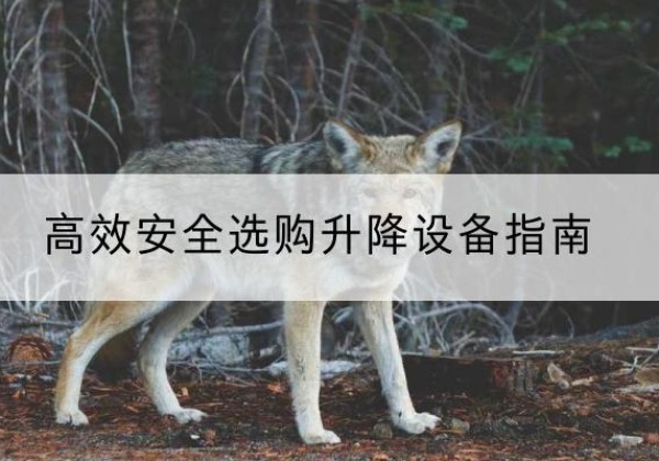 爱民升降货梯厂家推荐-*安全选购升降设备指南