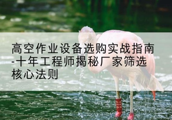 爱民剪叉式升降机厂家-高空作业设备选购实战指南-十年工程师揭秘厂家筛选核心法则